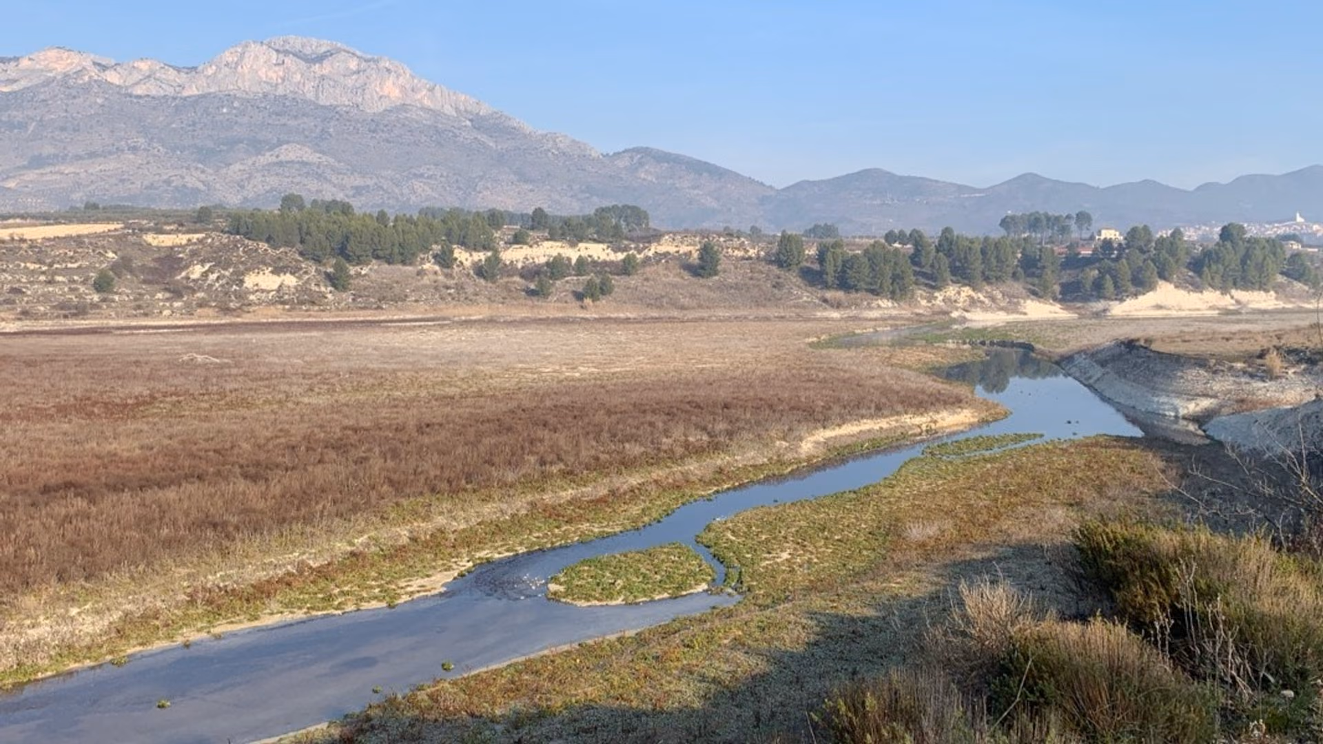 Almazara La Alquería