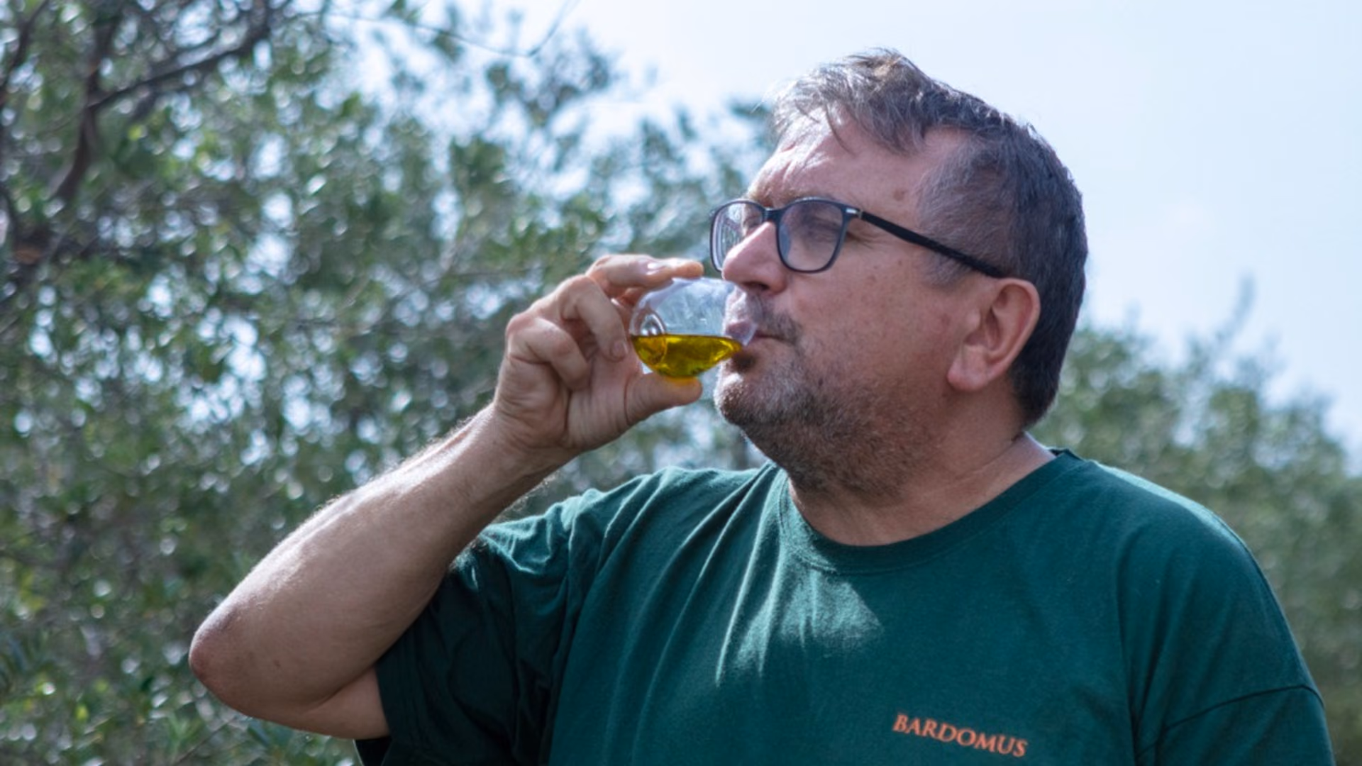 Catando el aceite de la nueva cosecha
